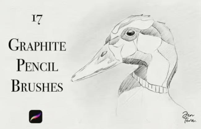 Graphite pencil texture brushes