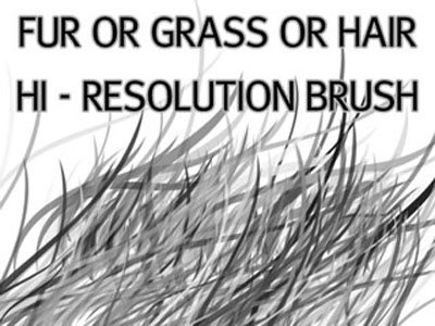 6.photoshop fur brushes fur brush photoshop